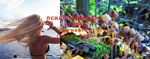 ПСИЛОЦИБИНОВЫЕ ГРИБЫ Алексин