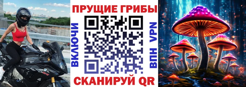 omg как войти Гаджиево мориарти формула Псилоцибиновые грибы прущие грибы